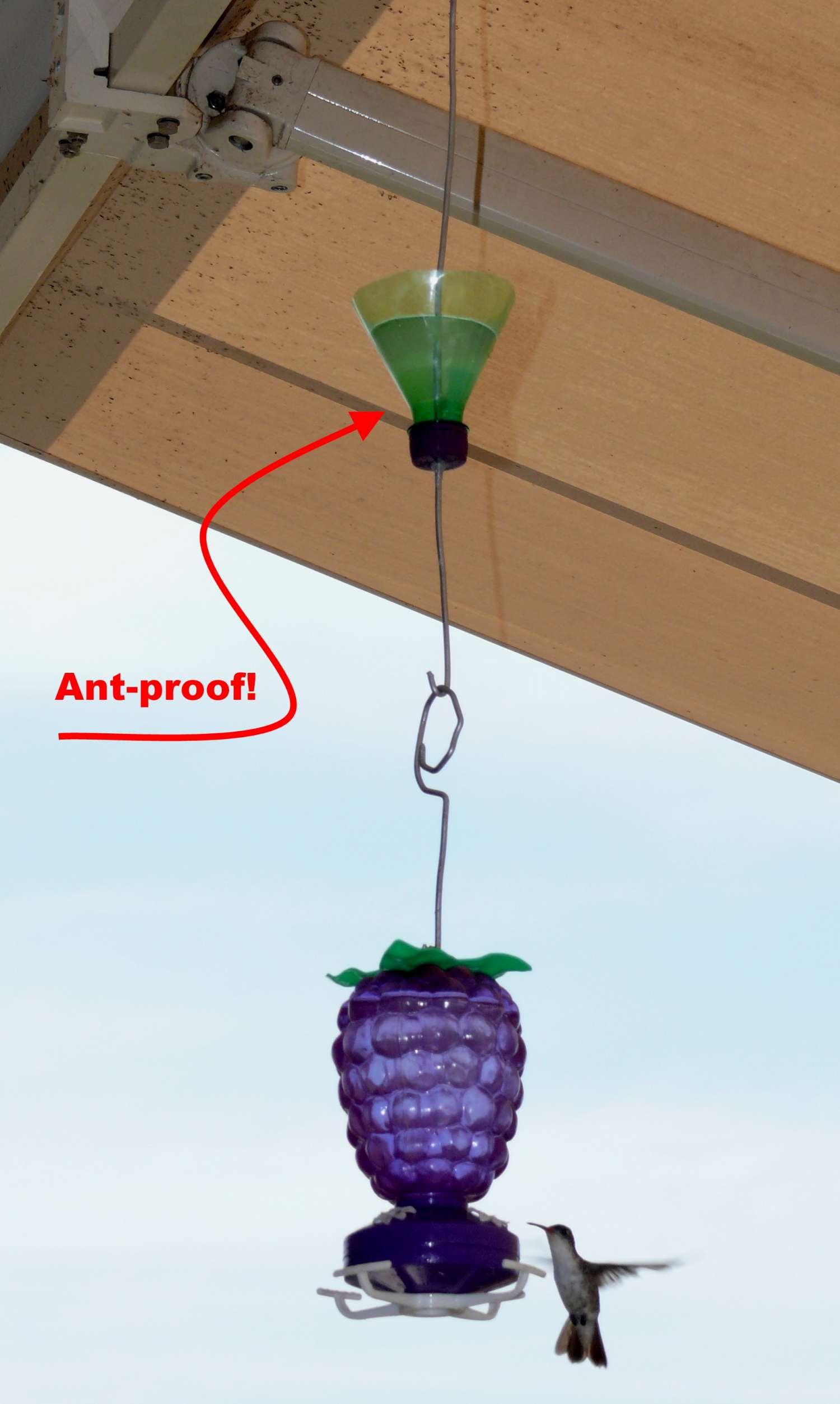 Ant-Proof.jpg